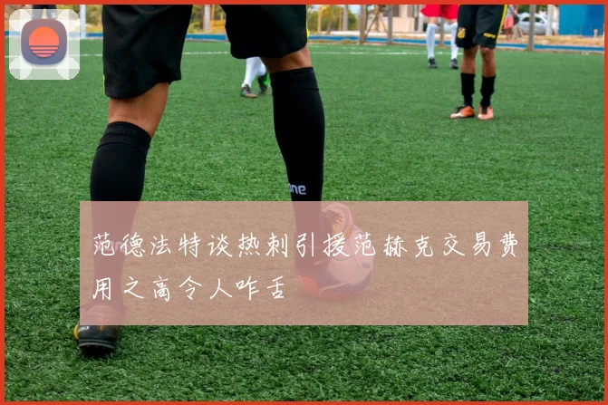 范德法特谈热刺引援范赫克交易费用之高令人咋舌