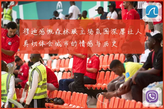 穆迪感慨森林狼主场氛围深厚让人真切体会城市的情感与历史